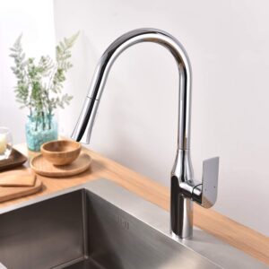 Kodaen F23134 Kitchen Faucet