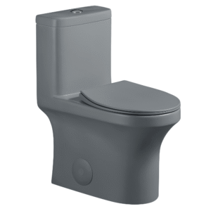 Dureno T202 One Piece Toilet