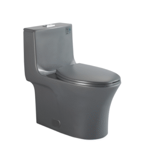 Dureno T206 One Piece Toilet