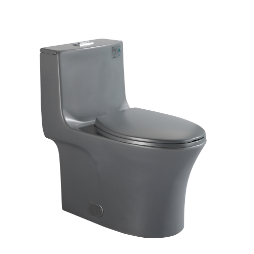 Dureno T206 One Piece Toilet