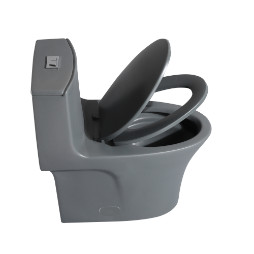Dureno T206 One Piece Toilet - Image 6