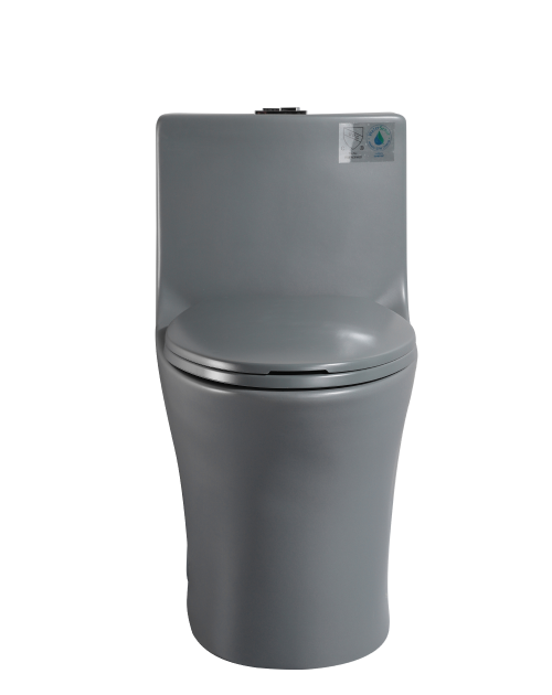 Dureno T206 One Piece Toilet - Image 8