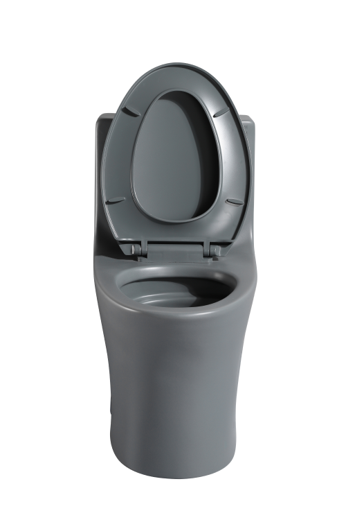 Dureno T206 One Piece Toilet - Image 9
