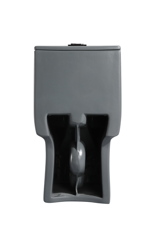 Dureno T206 One Piece Toilet - Image 10
